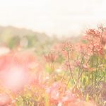 老化を受け入れる方法