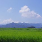 固定概念を捨てればうつ病は治る!固定することで起こる悲劇とは