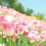 あなたは絶対に悪くない。