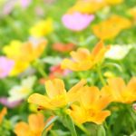 毎日が楽しい!未来に楽しみがある!体が思い通りに動くことがありがたい
